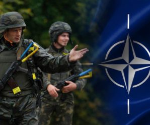 Уничтожение экономики Украины при переходе к стандартам НАТО
