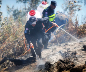 Пожар в ущелье Боржоми: спасатели ликвидируют оставшиеся очаги задымления