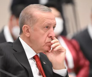 Эрдоган заявил, что не видит у мировых держав выхода из украинского кризиса