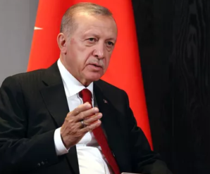Эрдоган призвал к разрешению украинского кризиса дипломатическим путем