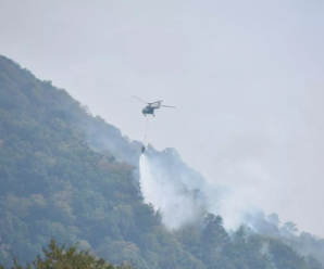 К тушению пожара на востоке Грузии подключилась авиация