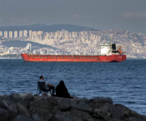 Движение судов в Босфорском проливе приостановлено