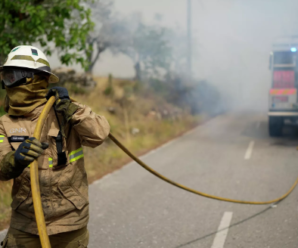 Лесной пожар на востоке Грузии – последние данные